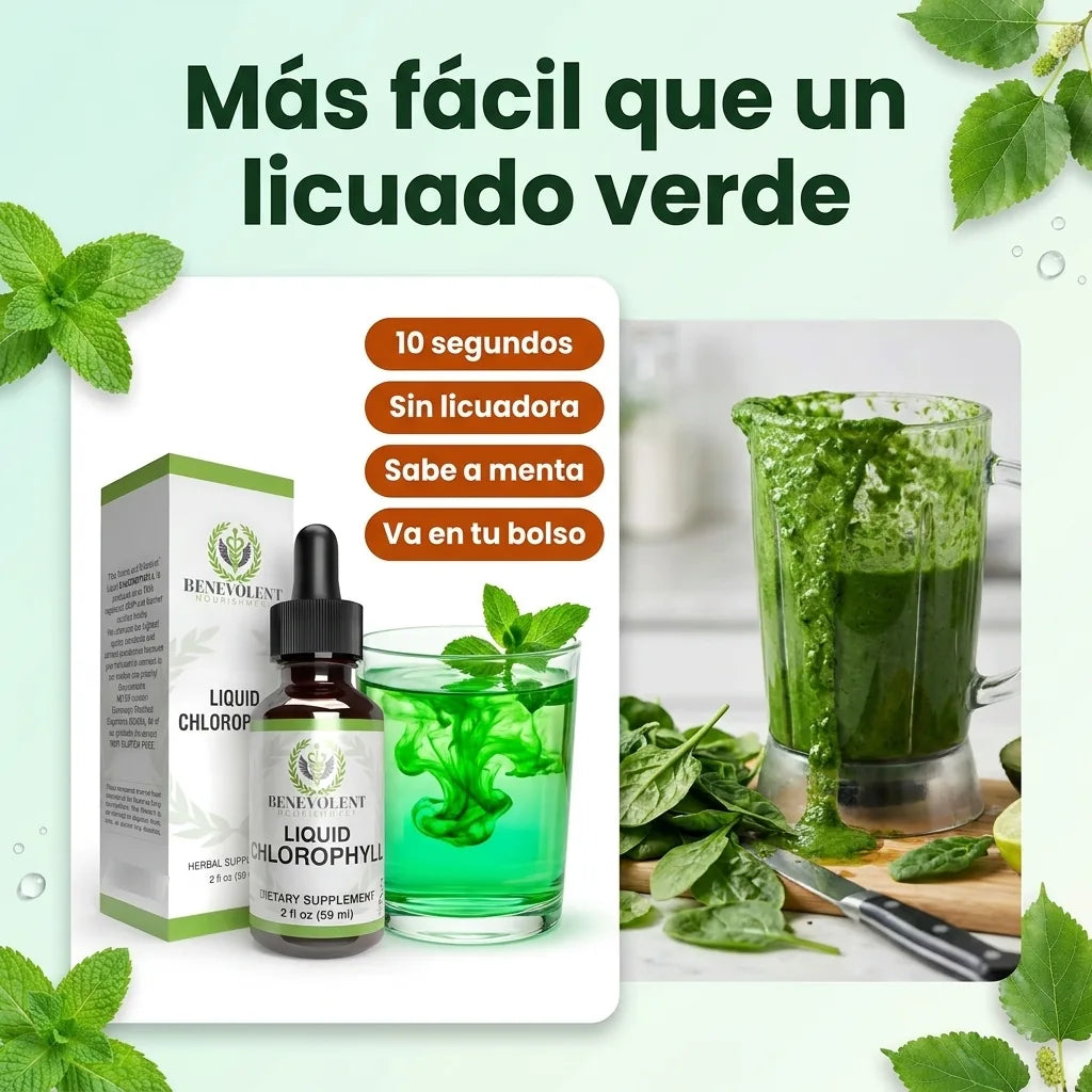 Clorofila Benevolent contra licuados verdes y tés detox: lista en 10 segundos, sin licuadora, sabe a menta y va en tu bolso.